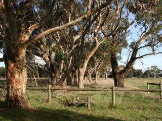 Quamby Homestead Bed & Breakfast 4*